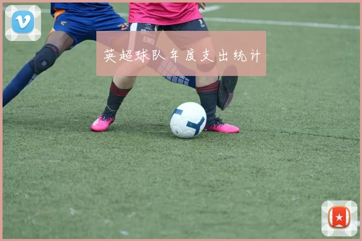 英超球队年度支出统计