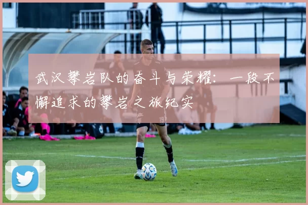 武汉攀岩队的奋斗与荣耀：一段不懈追求的攀岩之旅纪实