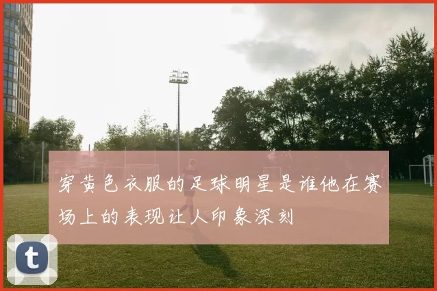 穿黄色衣服的足球明星是谁他在赛场上的表现让人印象深刻