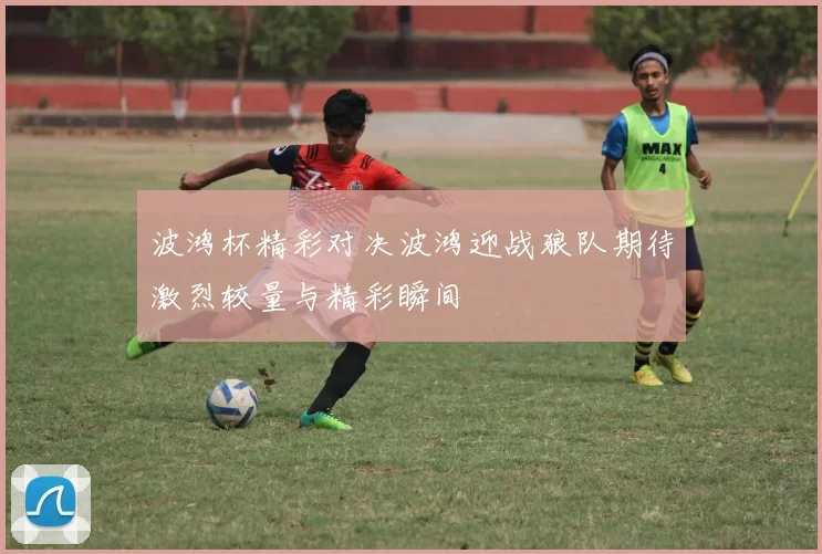 波鸿杯精彩对决波鸿迎战狼队期待激烈较量与精彩瞬间