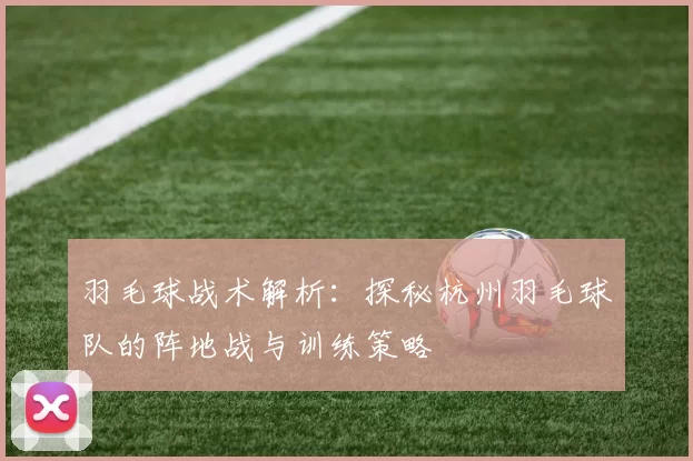 羽毛球战术解析：探秘杭州羽毛球队的阵地战与训练策略