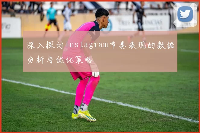 深入探讨Instagram节奏表现的数据分析与优化策略
