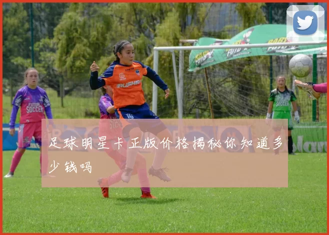足球明星卡正版价格揭秘你知道多少钱吗