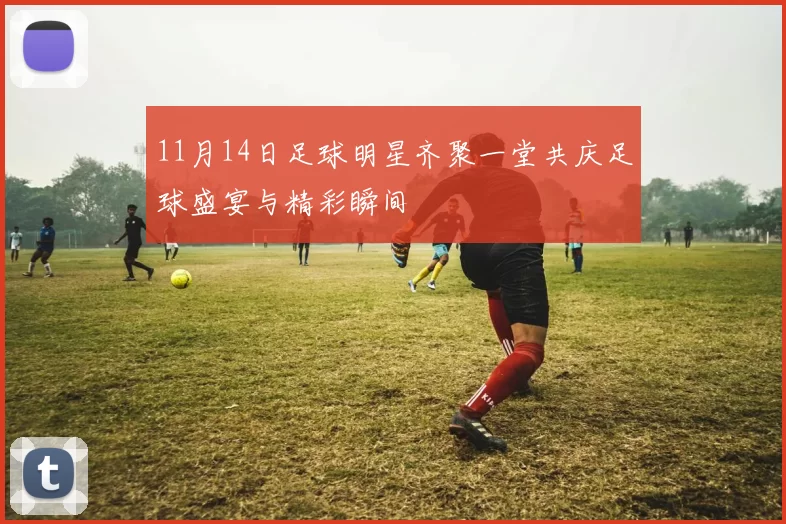 11月14日足球明星齐聚一堂共庆足球盛宴与精彩瞬间
