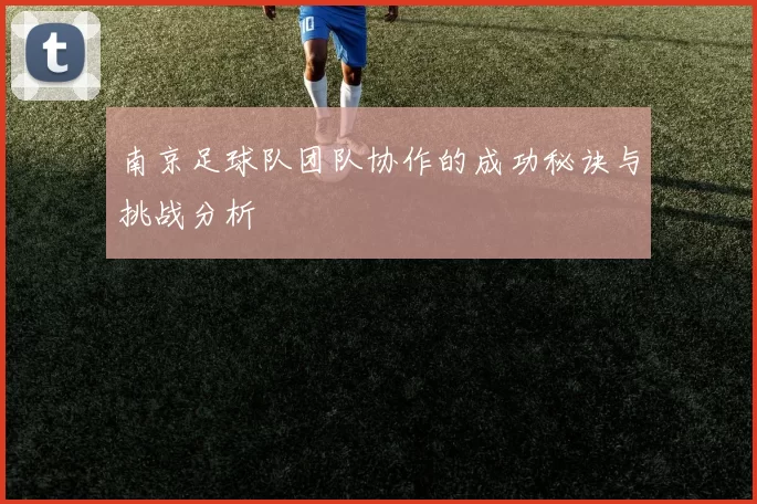 南京足球队团队协作的成功秘诀与挑战分析