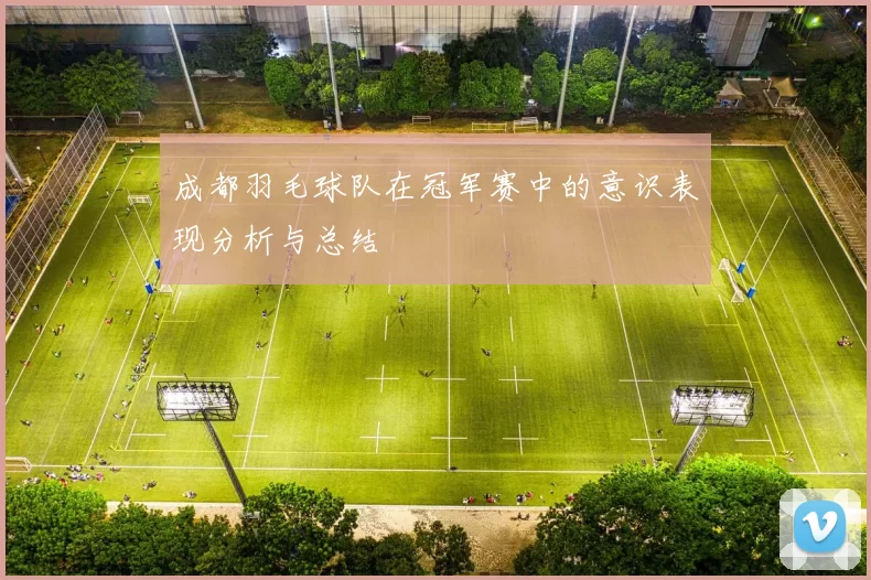 成都羽毛球队在冠军赛中的意识表现分析与总结
